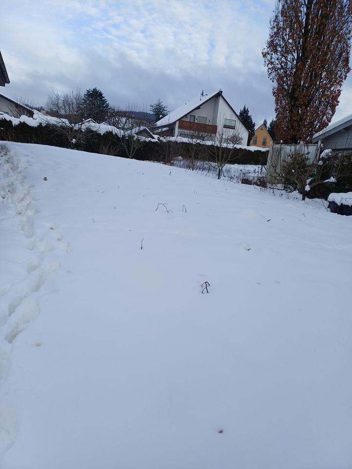 Haus zu verkaufen ohne Makler – Bild 5