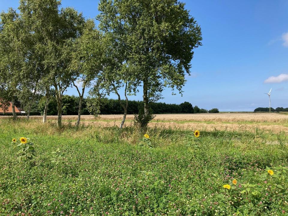 Baugrundstücke in ruhiger Nordseelage Dornumergrode