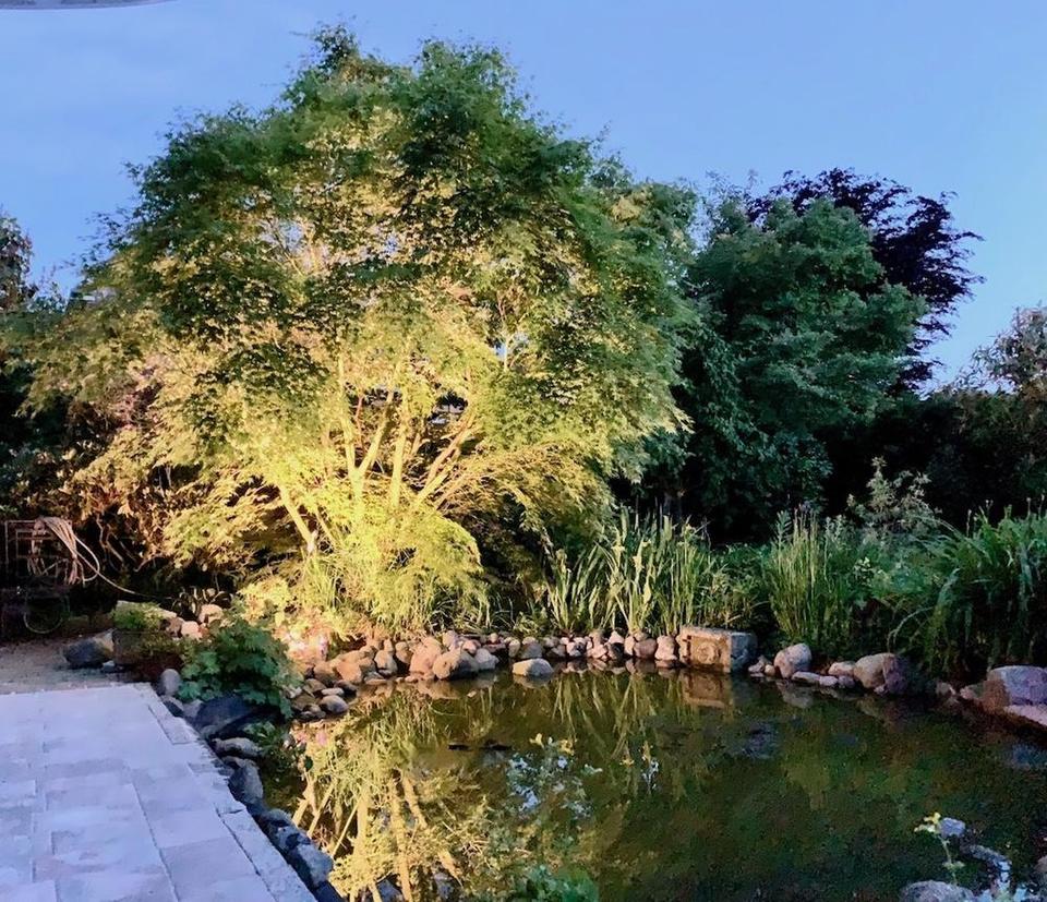 Nachhaltiger Bungalow mit Wintergarten, Garage und Garten – Bild 14