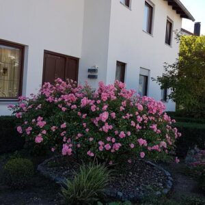 Zweifamilienhaus als Mehrgenerationshaus, Preisreduzierung