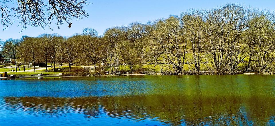 3-Zi.-Wohnung (80qm) Westend, U5 / Tram 18 Säulingstraße, nähe WESTPARK – Bild 21