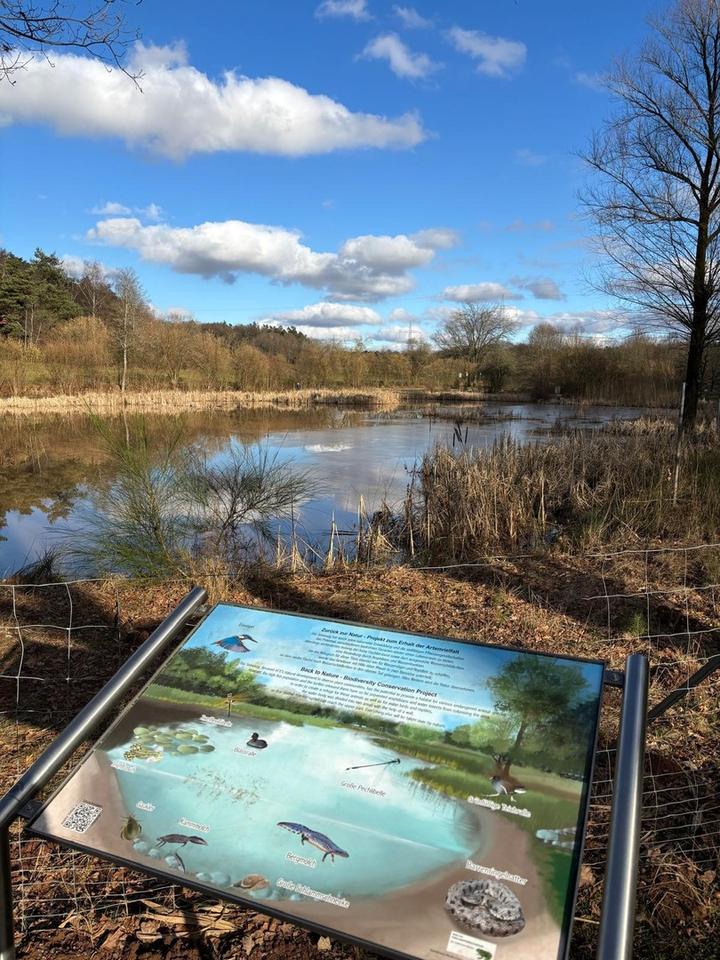 TOP sanierte ETW in Miesenbach am Seewoog – Bild 18