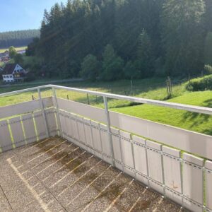 Keine Provision! Kein Eigenkapital! Bubenbach - Schöne 3-Zi. EG-Whg. zu verkaufen (4) (ID142)