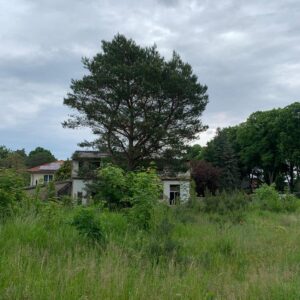 Baugrund erschlossen , 4-8 Bauplätze möglich,Schulzendorf im Speckgürtel von Berlin