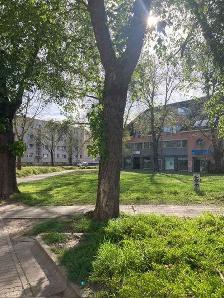 Bezugsfreie Eigentumswohnung - perfekt für Golfer – Bild 5