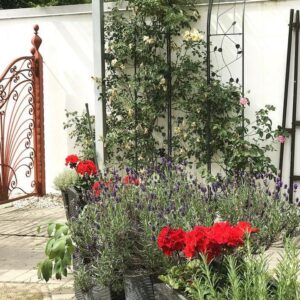 Mehrgenerationenhaus im Süden Berlins