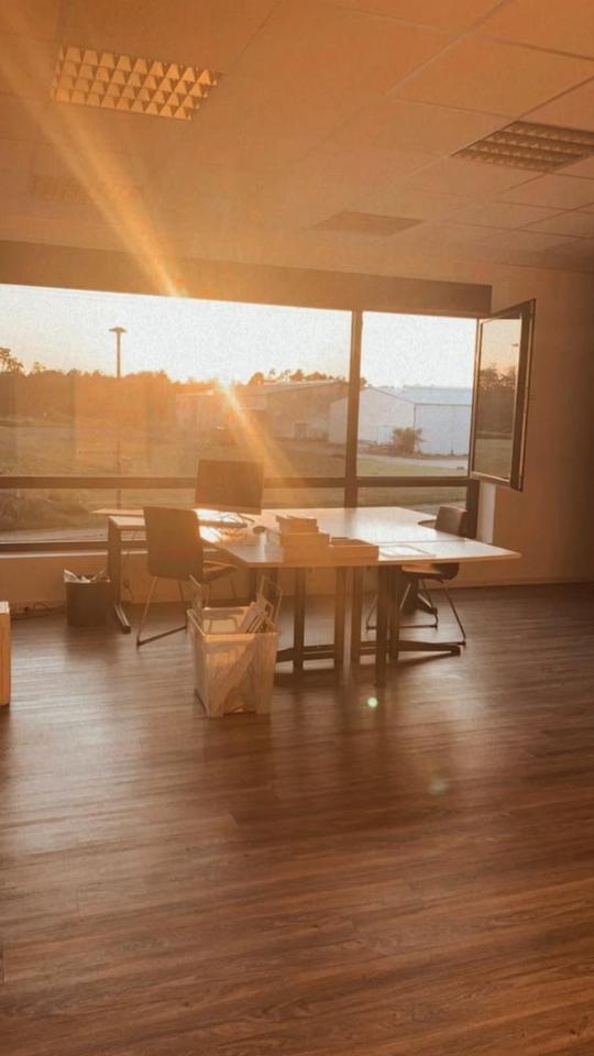 Hochwertige Bürofläche mit optionaler Lagerhalle – Bild 3