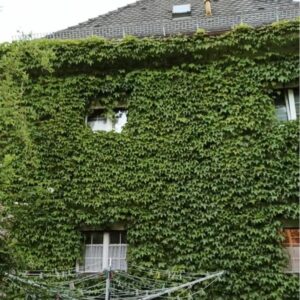 Bestlage - seltene Gelegenheit - Privatverkauf einer Immobilie in Traunstein