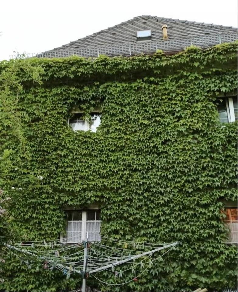 Bestlage - seltene Gelegenheit - Privatverkauf einer Immobilie in Traunstein