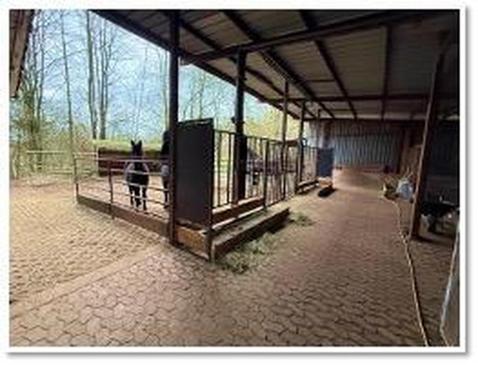 Repräsentatives Gestüt mit Wohnhaus im Nordsaarland – Bild 3