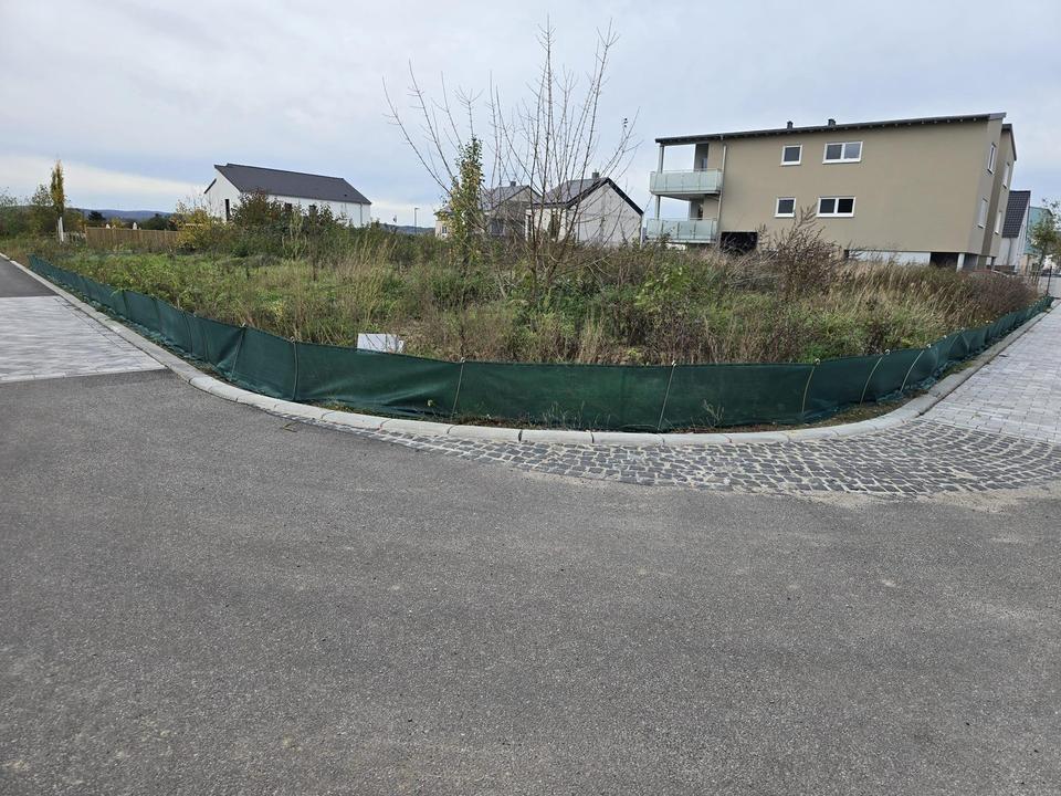 Letzte Chance in Top-Lage: Exklusives KfW-40-QNG-Einfamilienhaus mit PV & WP – 141 m² Wohnkomfort – Bild 3