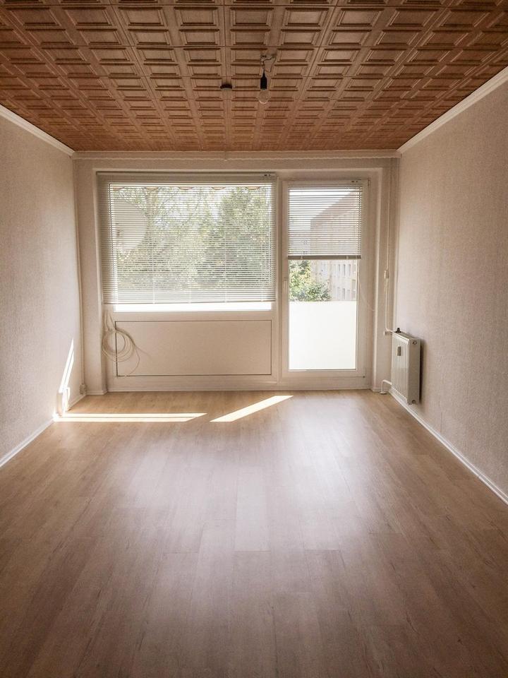 3-Zimmer-Wohnung mit Schlossblick am Waldrand im Coswiger-Spitzgrund mit Stellplatz – Bild 6
