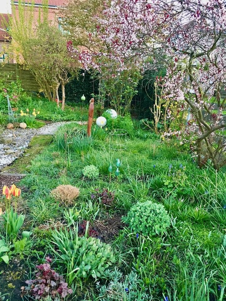 Nachhaltiger Bungalow mit Wintergarten, Garage und Garten – Bild 13