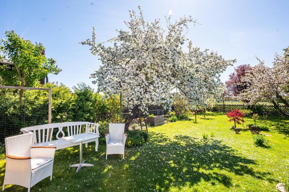 Top ausgestattetes Einfamilienhaus m. großem Garten & Bungalow in ruhiger Lage im Seebad Ueckermünde – Bild 4