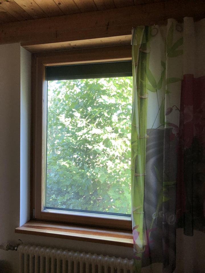 Naturoase mit viel Licht und eingewachsenem Garten – Bild 17