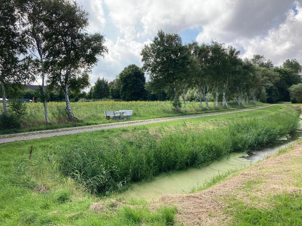 Baugrundstücke in ruhiger Nordseelage Dornumergrode – Bild 4