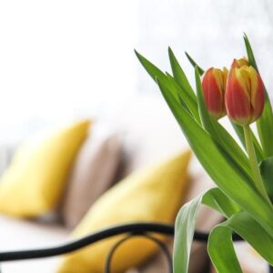 WILLKOMMEN DAHEIM ! Schnuckelige 2-Zi-Whg, WF 51 m², Chiemsee & Alpen