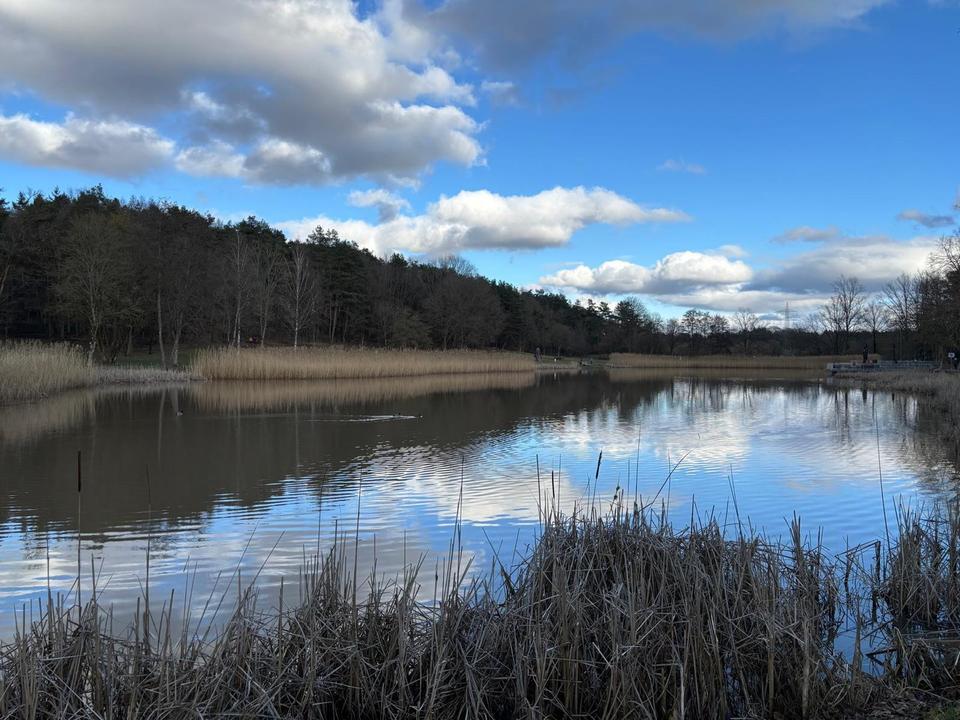 TOP sanierte ETW in Miesenbach am Seewoog – Bild 17