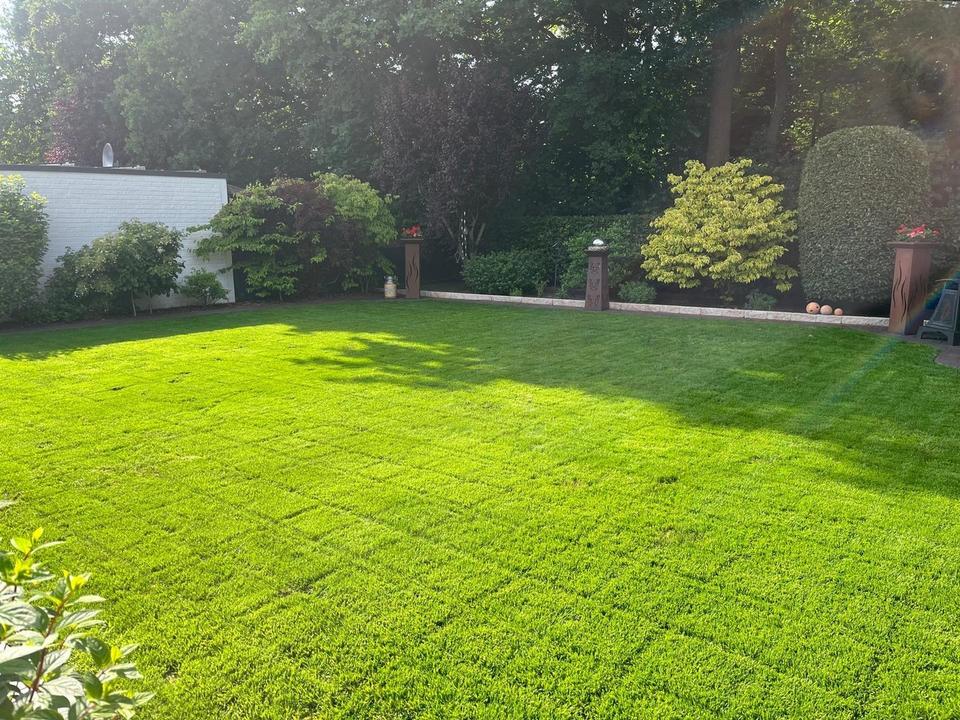 *Provisionsfrei für den Käufer* Wohnen am Waldrand in ruhiger Lage von Löningen – Bild 25