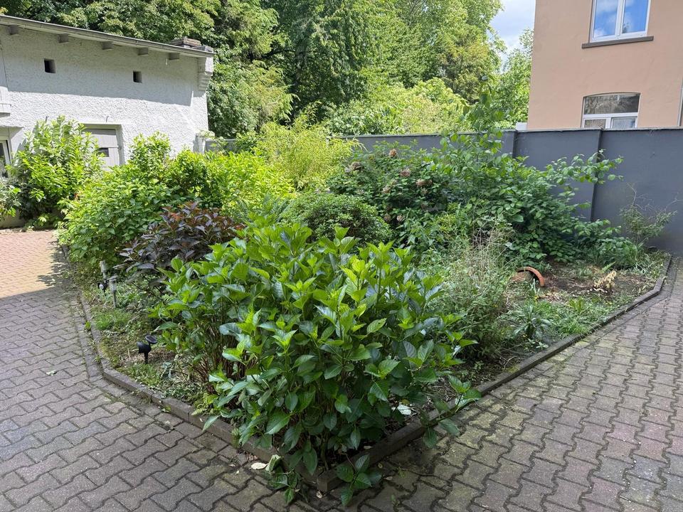 Helle 3-Zimmer-Wohnung mit Wohlfühlcharakter in Dortmund – Nähe Borsigplatz – Bild 12