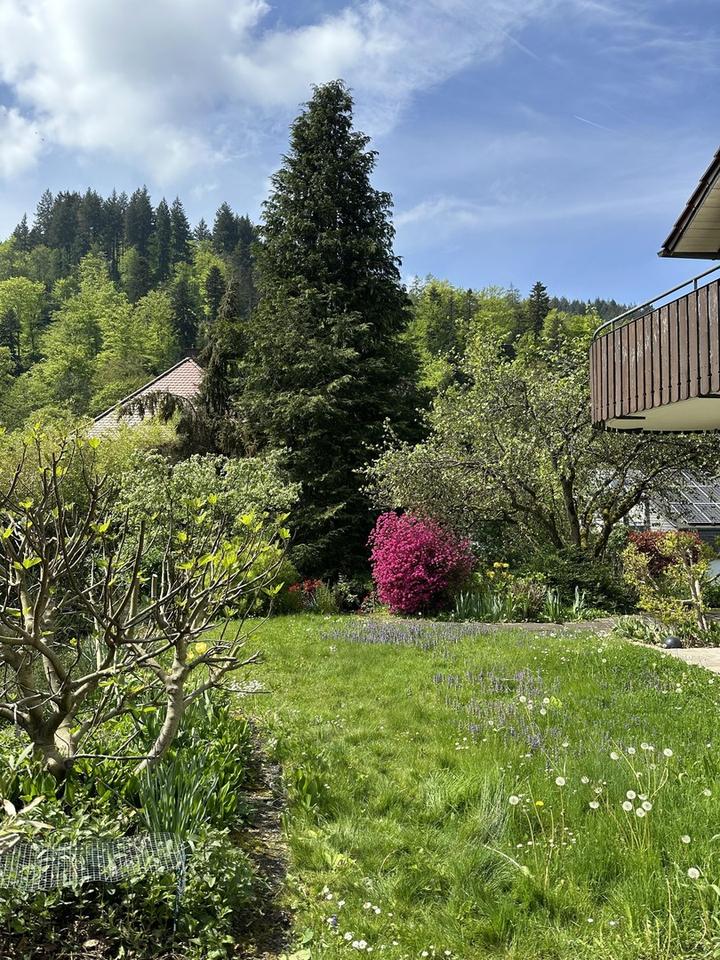 Besonderes 2-Fam.-Haus in begehrter Lage, natur- und stadtnah, provisionsfrei – Bild 4