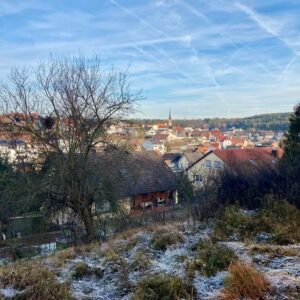 Privatverkauf Baugrundstück Bauplatz Grundstück Güntersleben schöne Aussicht