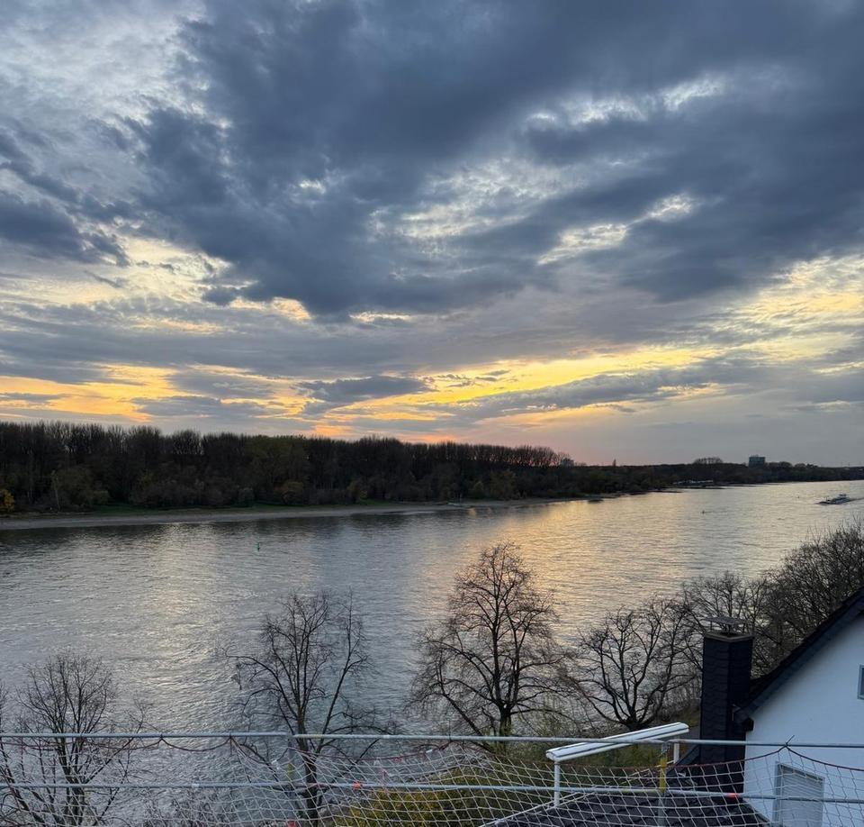 Penthouse, 2-Zimmer-Wohnung, direkte Rheinlage, Neubau, Dachterrasse, provisionsfrei – Bild 6