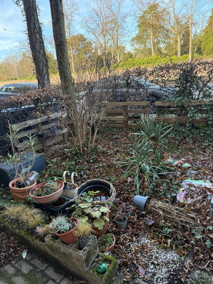 Charmante 3-Zimmer Maisonette in der Karlsruher Oststadt – Bild 19