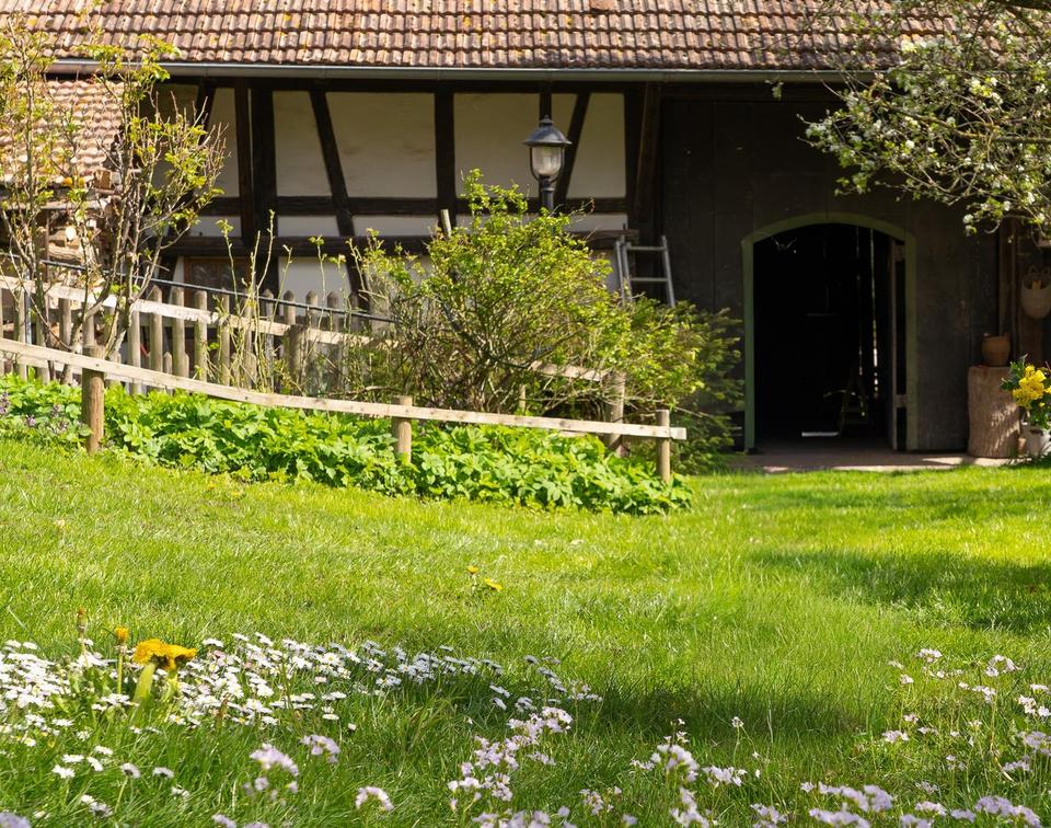 Provisionsfrei - Rarität - 2 Häuser, große Scheune und großer Garten in Freiburg-Munzingen. – Bild 34