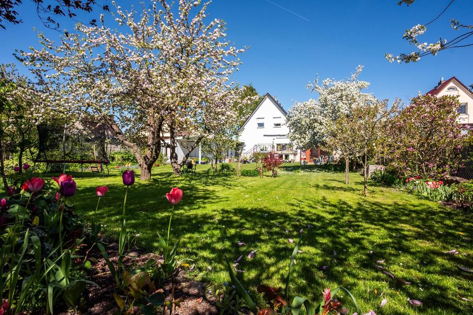 Top ausgestattetes Einfamilienhaus m. großem Garten & Bungalow in ruhiger Lage im Seebad Ueckermünde – Bild 5