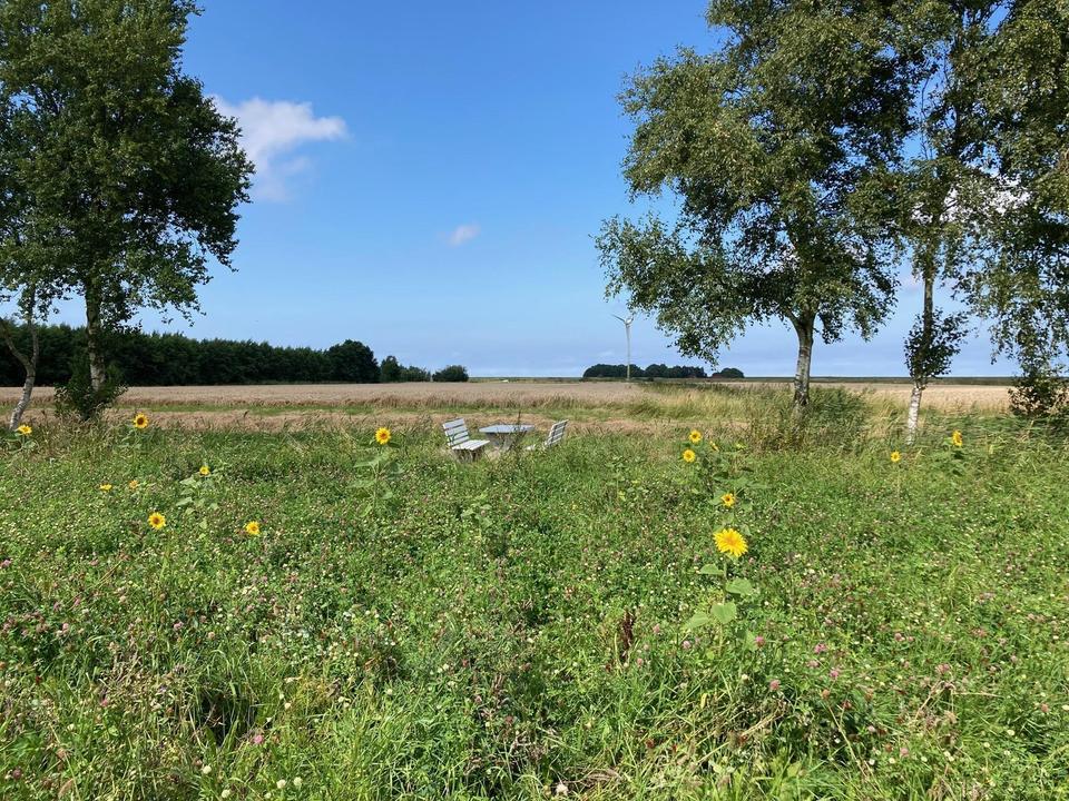 Baugrundstücke in ruhiger Nordseelage Dornumergrode – Bild 3