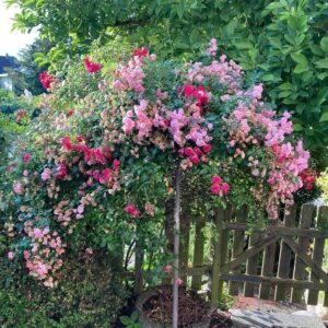 = OHNE MAKLER = 2 sonnige BAUPLÄTZE mit Baugenehmigung in ruhiger Süd - Lage