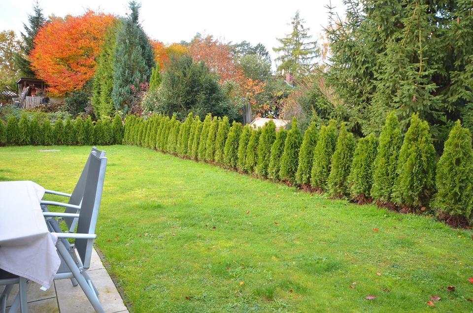 *** NEUES Schwedenhaus in TOP Lage von Buchholz i.d.N. *** Fertiger Neubau unmöbliert oder möbliert! – Bild 29