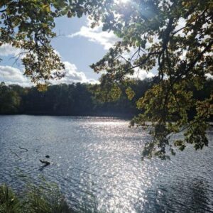 Perfekte 5 Zimmer-Wohnung mit Garten am Jungfernheidepark direkt vom Eigentümer (provisionsfrei)