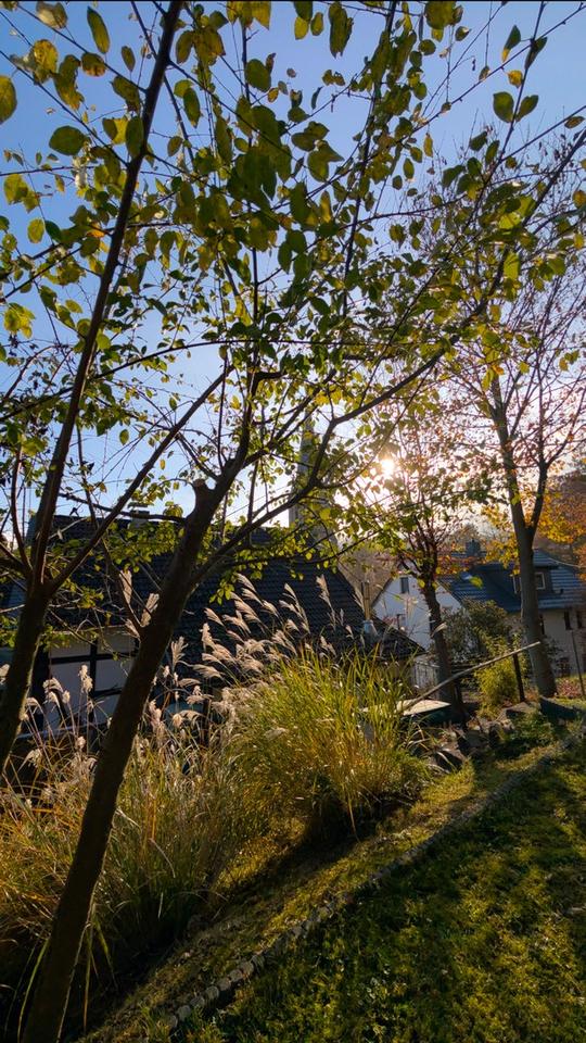 Maisonette-Wohnung mit Garten und Carport zu verkaufen – Bild 11