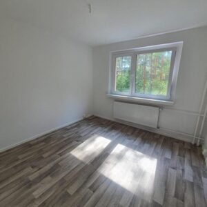 Erstbezug nach Sanierung! 3 Zi.Whg. mit Balkon in Walddrehna