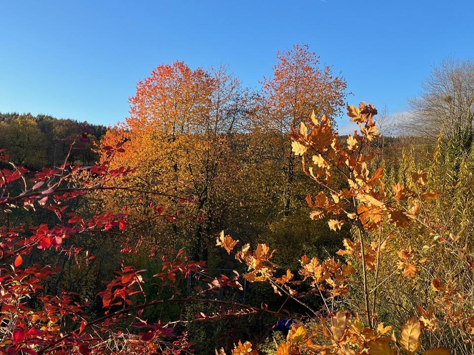 Sonnige 5-Zimmer-Wohnung mit Wallbox fürs E-Auto und großer Einbauküche – Bild 16