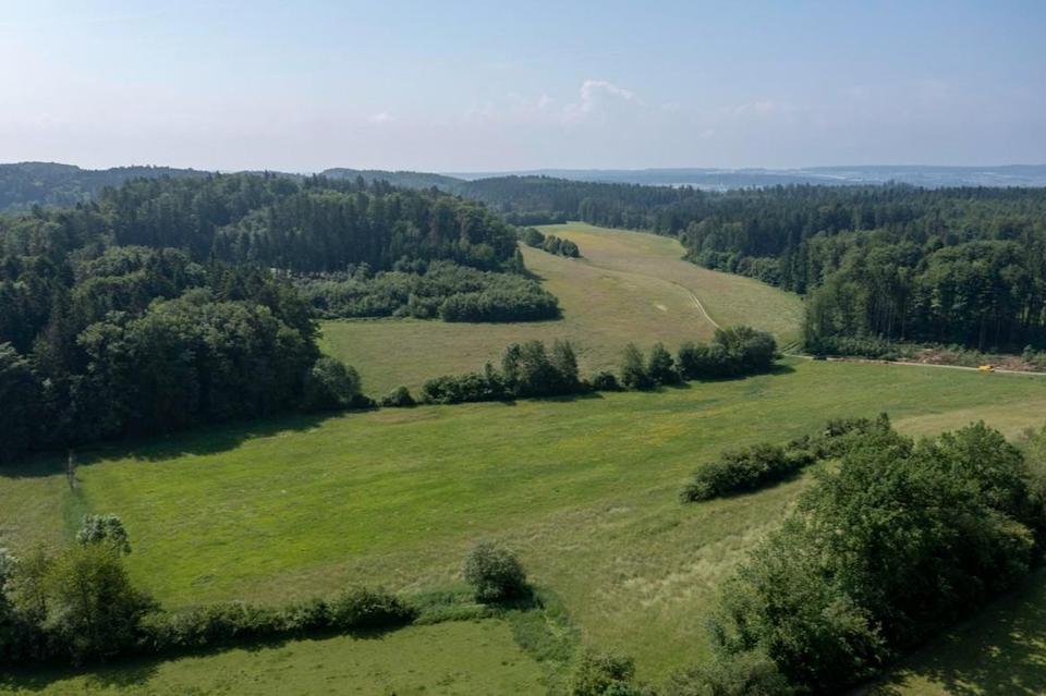 Arrondiertes Landgut mit vielseitigen Nutzungsperspektiven – Bild 21