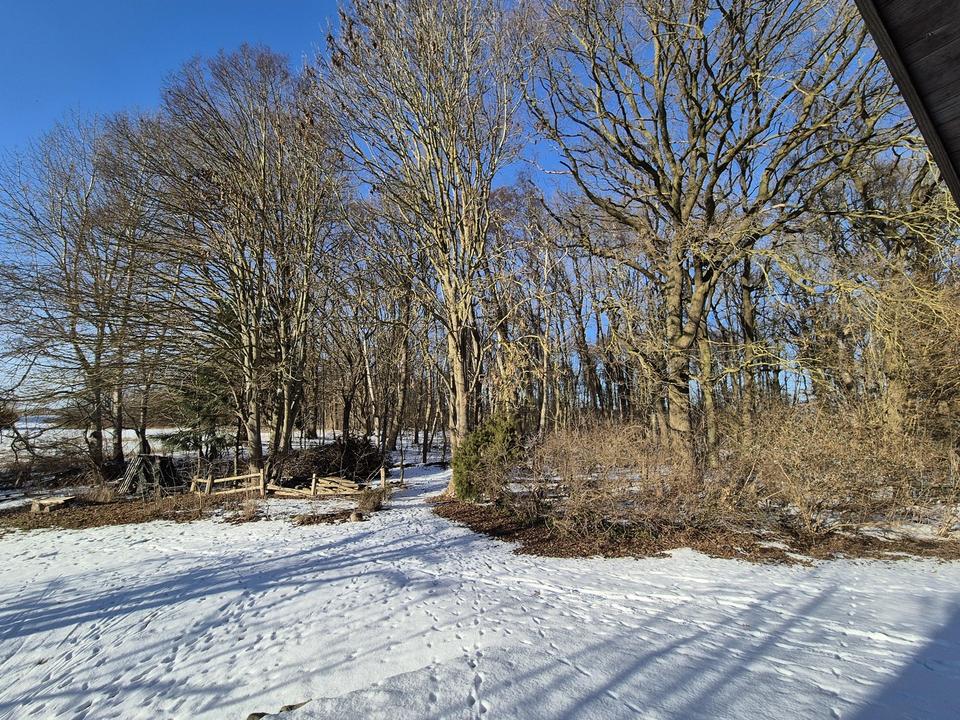 Weide, Wald und Wintergarten - Ein Traumhaus unterm Reetdach – Bild 5