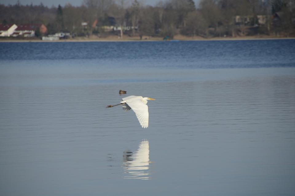 bezugsfertiger Familientraum am Einfelder See (5-6 Zi) – Bild 17