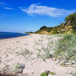 Mee(h)r • Haus • Land • Wald!