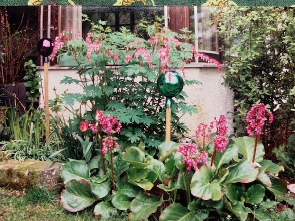 Stadtnahes Landhaus in Traumlage – Bild 9