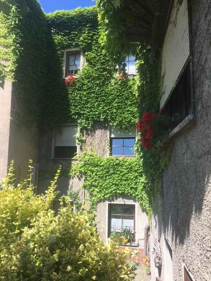 Gepflegtes Stadthaus mit Garten und Terrasse – Bild 4