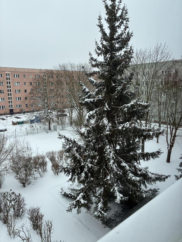 Renovierte und helle 1-Zimmer-Wohnung mit Duschbad – Bild 11