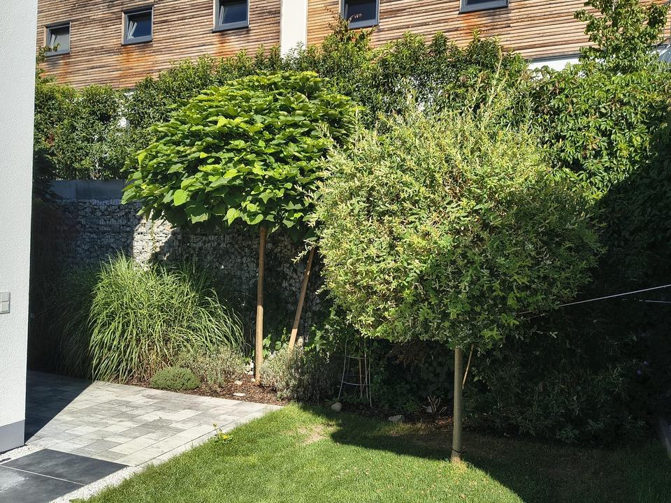 Architektenvilla im Bäderdreieck - Zweifamilienhaus möglich – Bild 8