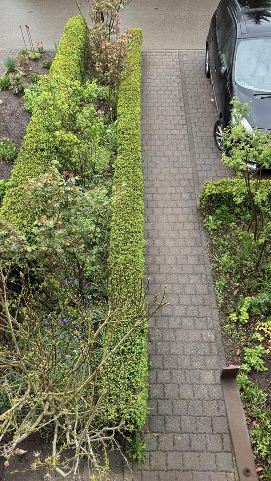 Charmantes Reihenhaus mit Garten in 08280 Aue + Garagen – Bild 12