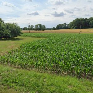 Ruhig gelegenes, erschlossenes Baugrundstück, 2 Wohneinheiten möglich,ohne Maklergebühr zu verkaufen