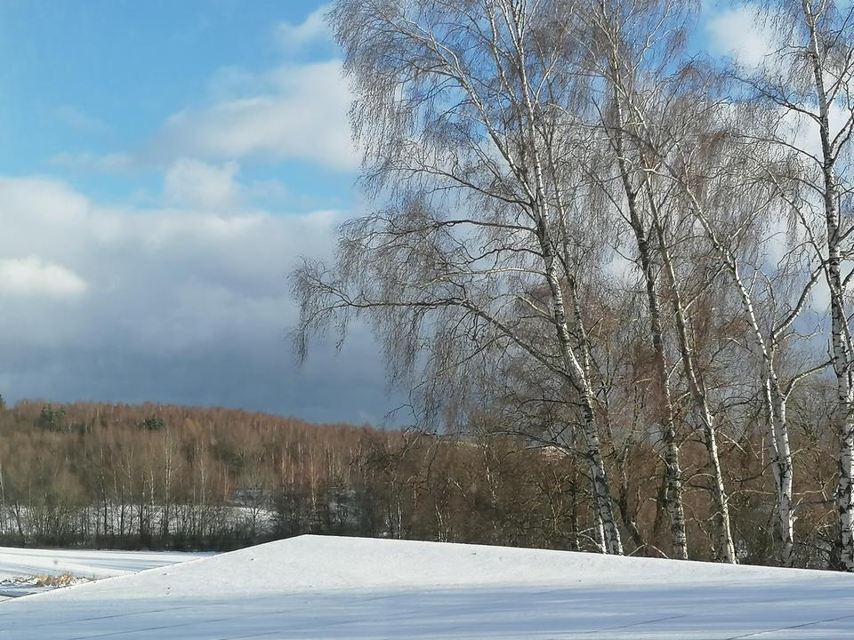 Bieterverfahren Neubau Einfamilienhaus in Hof-Krötenbruck