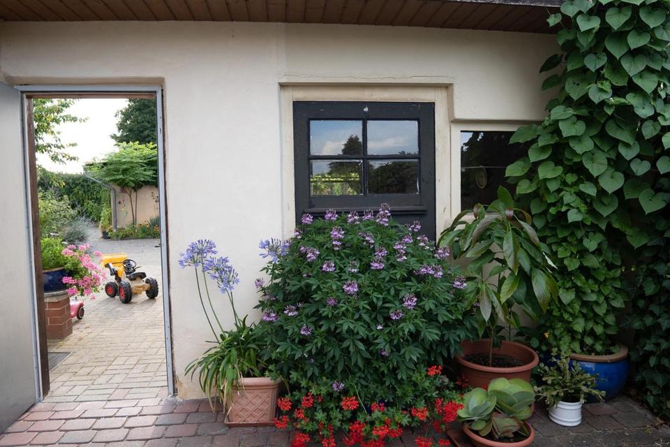 Haus mit Einliegerwohnung voll unterkellert in Wesendorf – Bild 14