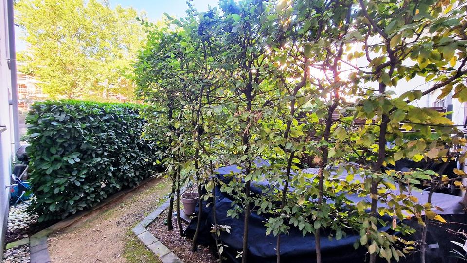 Wohnen am Lorettoviertel, Hafen und Rheinturm – Bild 18